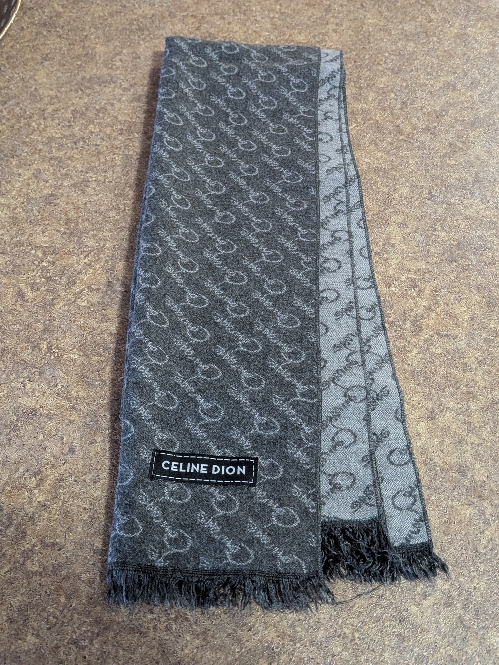 NWOT Celine Courage Gray Fringe Logo Scarf